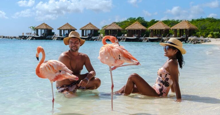 couple-men-women-aruba-beach-with-pink-flamingos-aruba-island-caribbean(2)