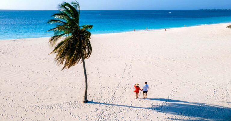 eagle-beach-aruba-palm-trees-shoreline-eagle-beach-aruba-south-america